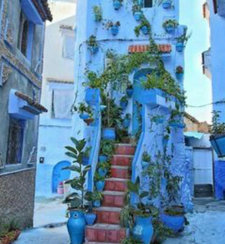 Апартаменты Casa Dreams Chaouen Шефшауэн Экстерьер фото
