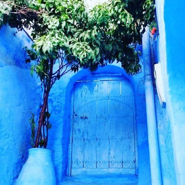 Апартаменты Casa Dreams Chaouen Шефшауэн Экстерьер фото