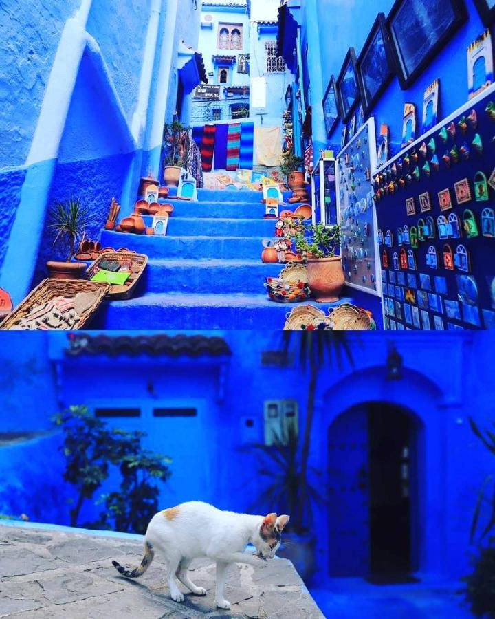 Апартаменты Casa Dreams Chaouen Шефшауэн Экстерьер фото